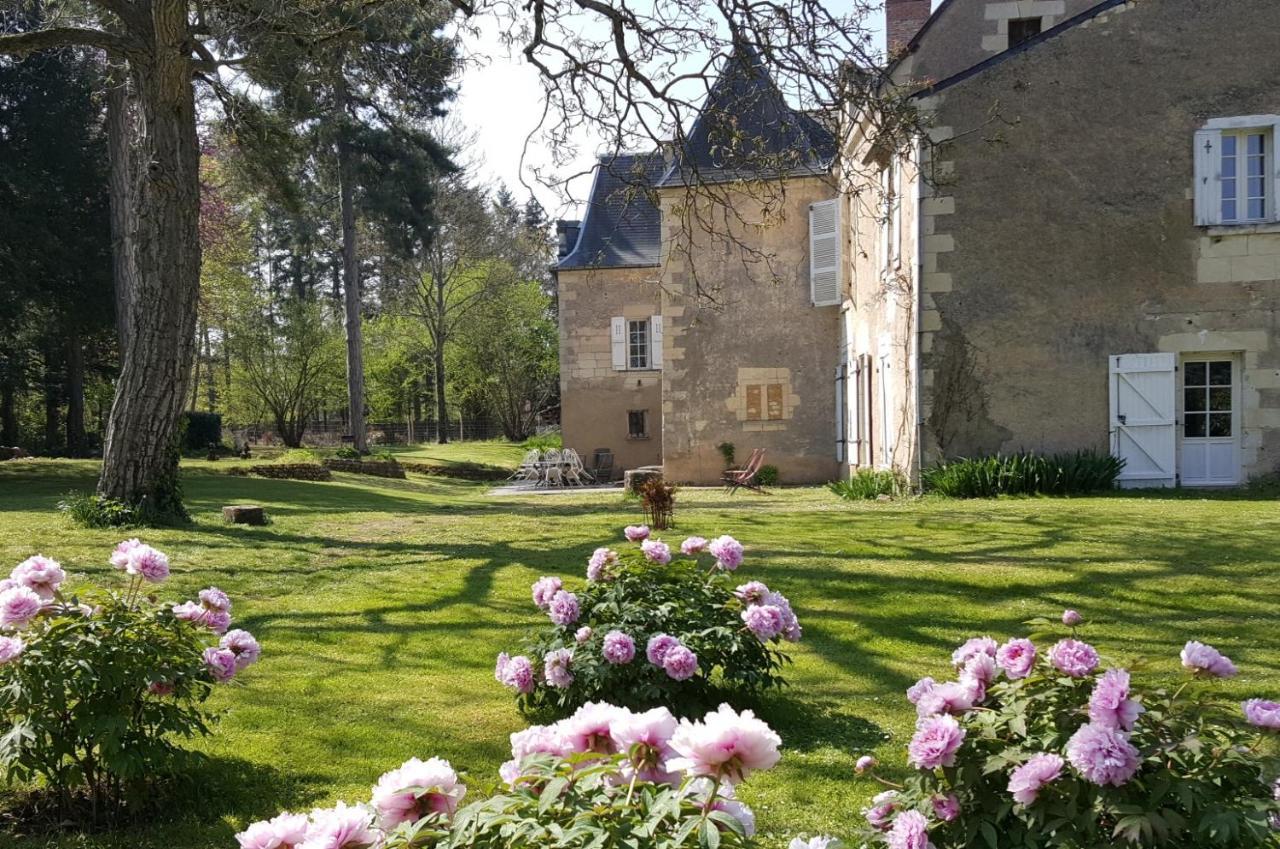 Bed and Breakfast Manoir Du Bellay Монрёй-Беле Экстерьер фото